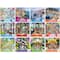 Assorted Ceaco® 300 Piece Puzzle